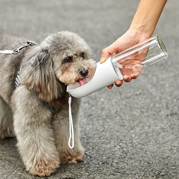 Petkit eversweet travel boca za kucne ljubimce 300 ml plava