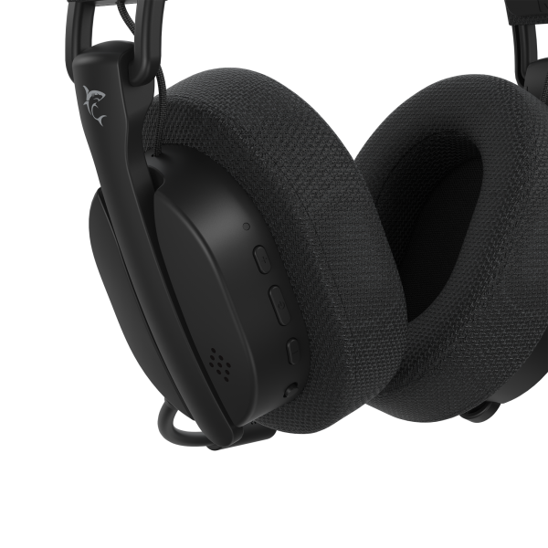 FIRECREST BLACK