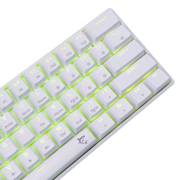 Shinobi 2 White Blue Switch US