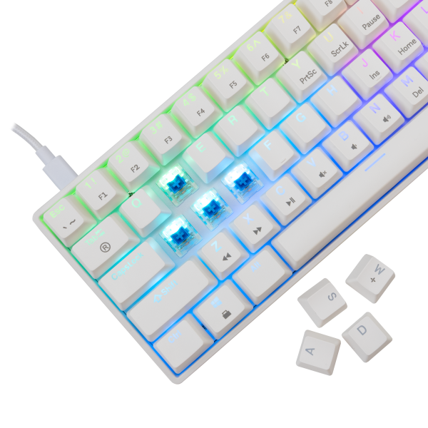 Shinobi 2 White Blue Switch US