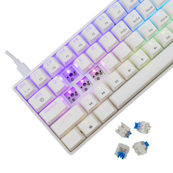 Shinobi 2 White Blue Switch US