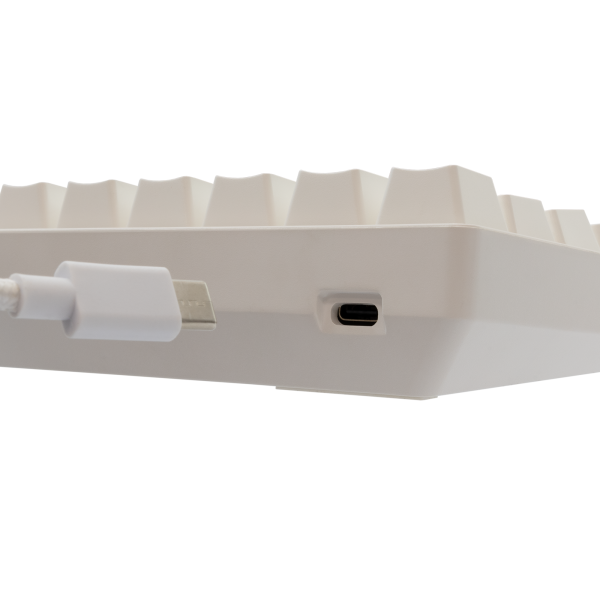 Shinobi 2 White Blue Switch US