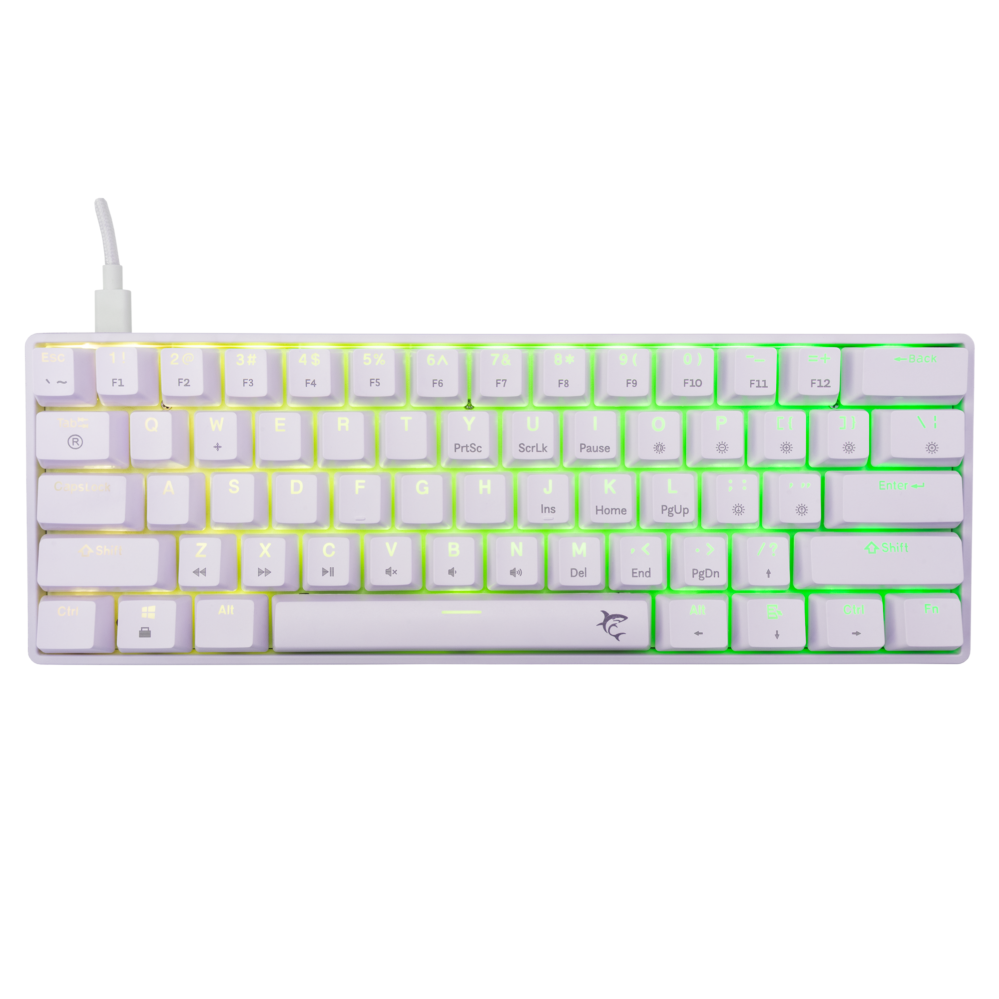 Shinobi 2 White Brown Switch US