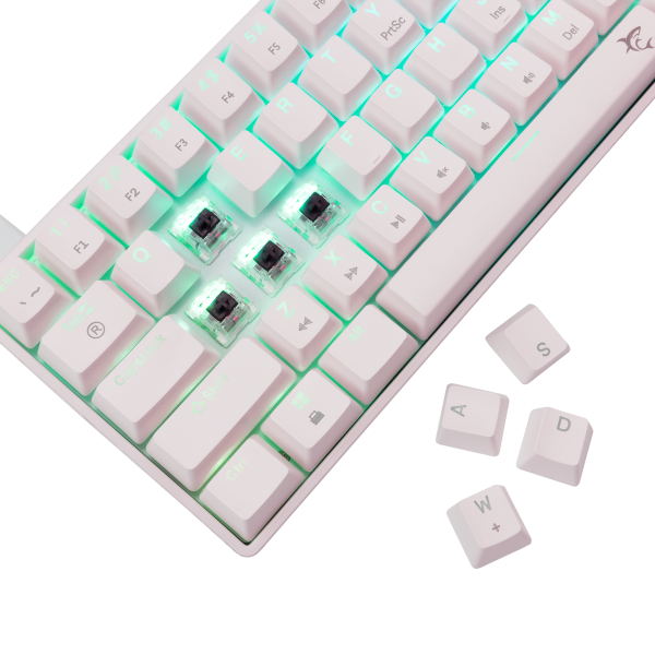Shinobi 2 White Brown Switch US