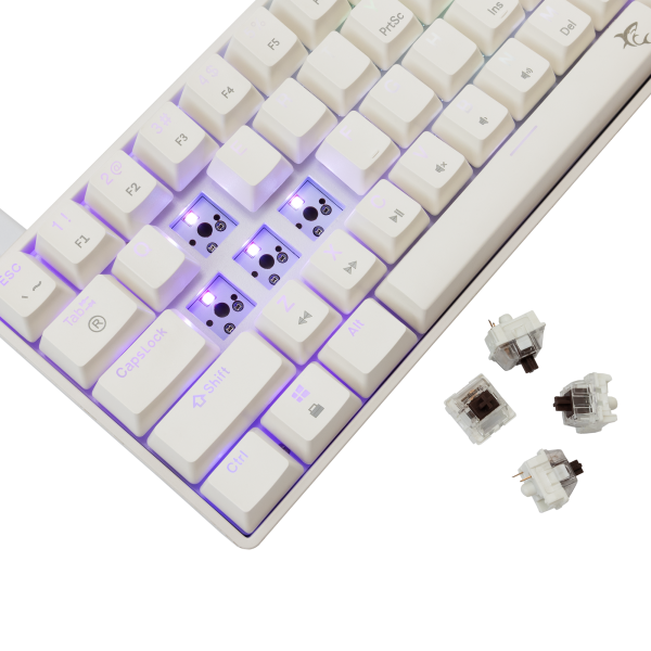 Shinobi 2 White Brown Switch US