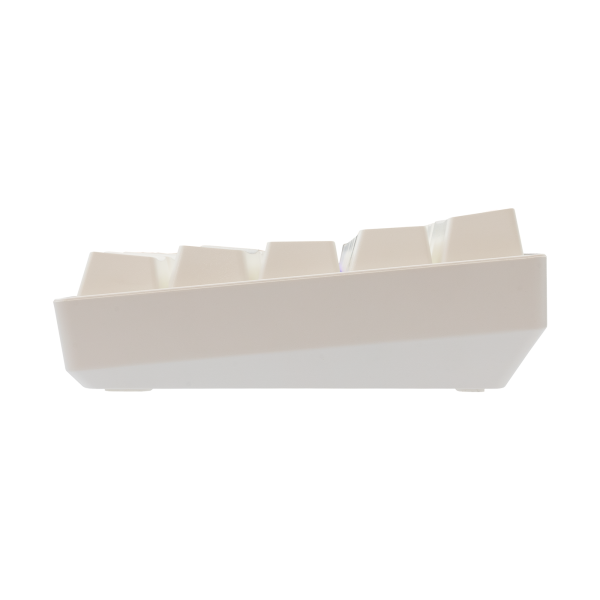 Shinobi 2 White Brown Switch US