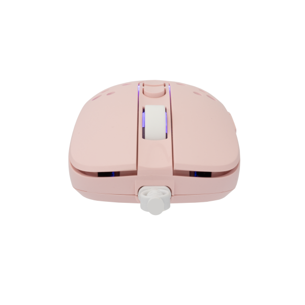 TristanPink6
