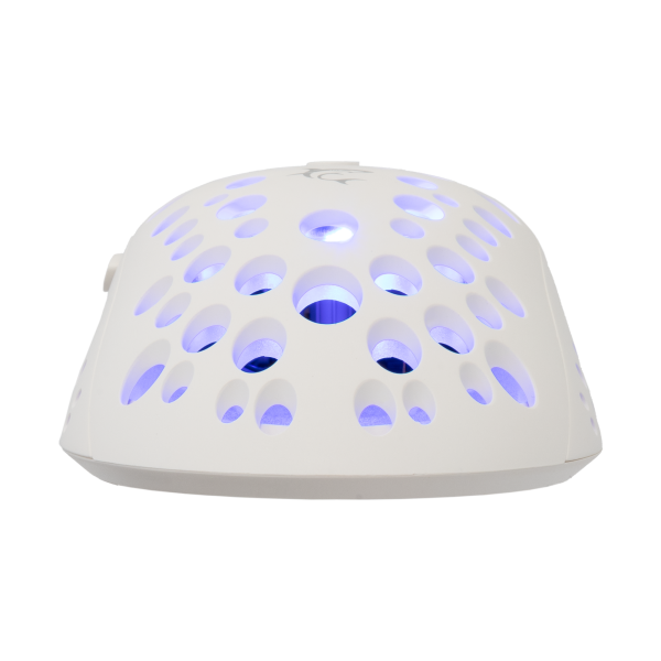 TristanWhite5