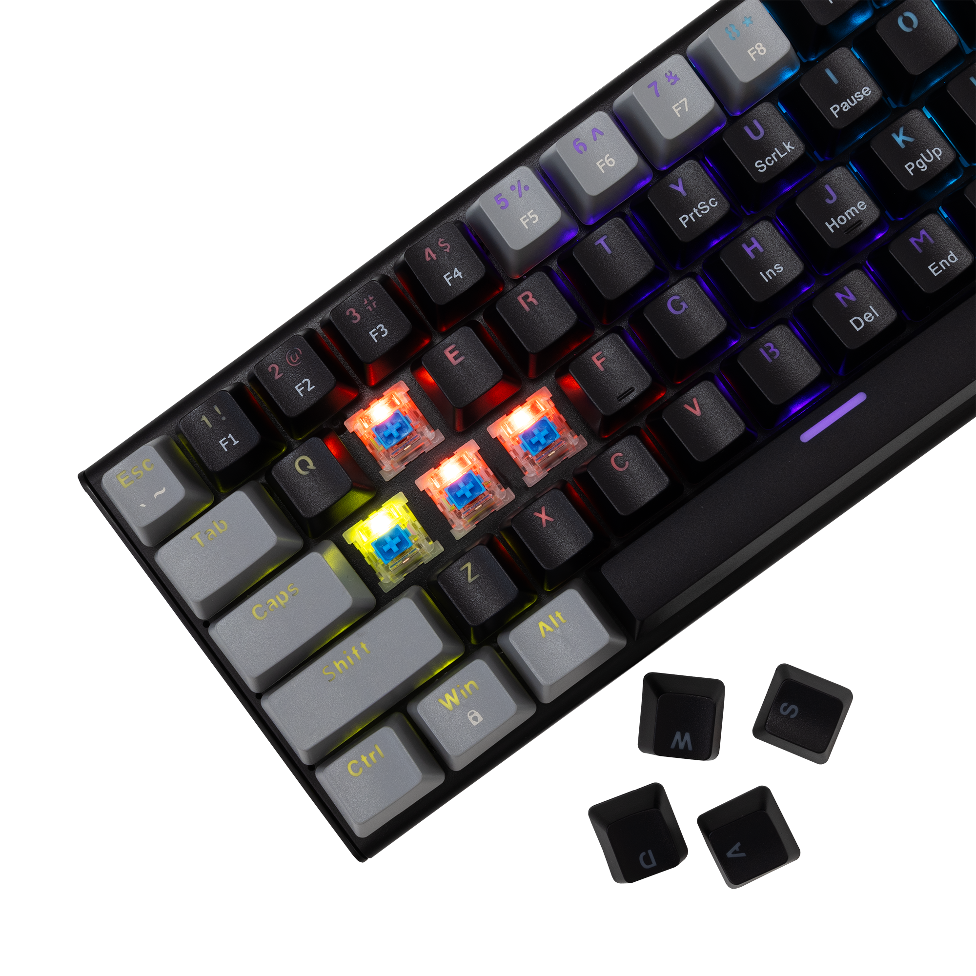 WAKIZASHI BLACK GRAY BLUE SWITCH US