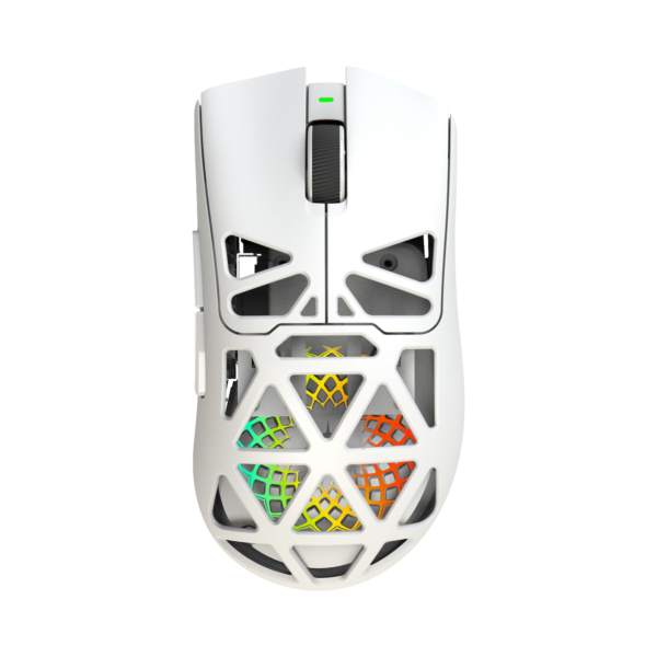 Morien white