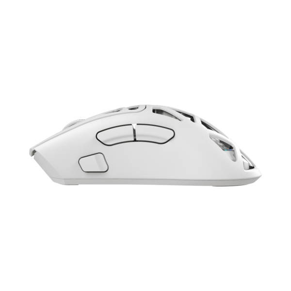 Morien white 2