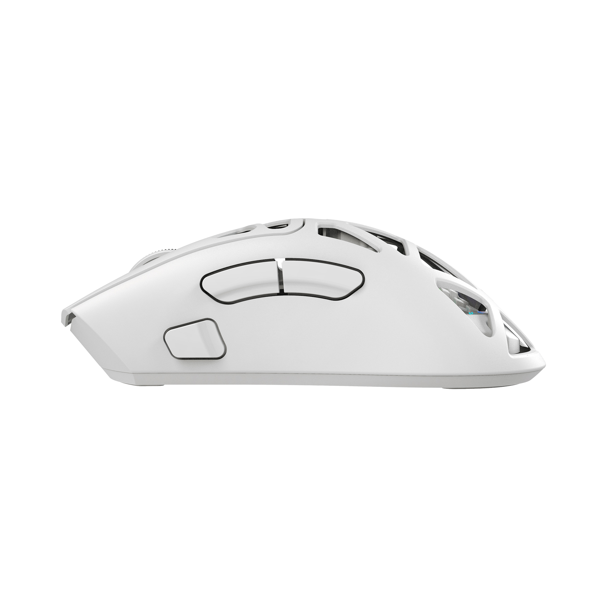 Morien white