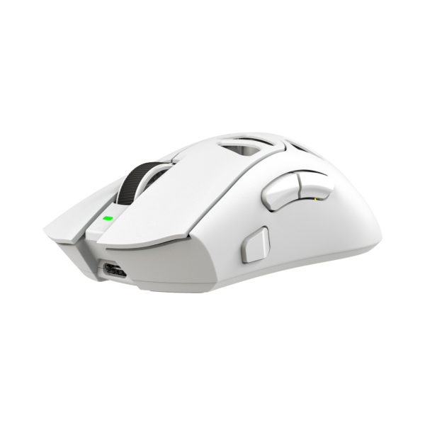 Morien white