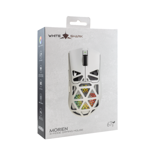 Morien white