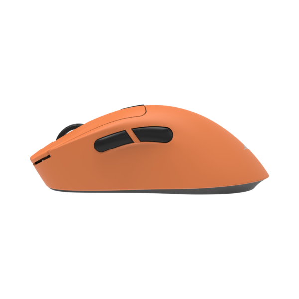 Tor orange 2