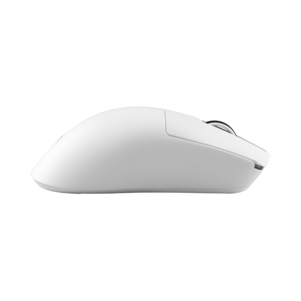 Agamemnon white