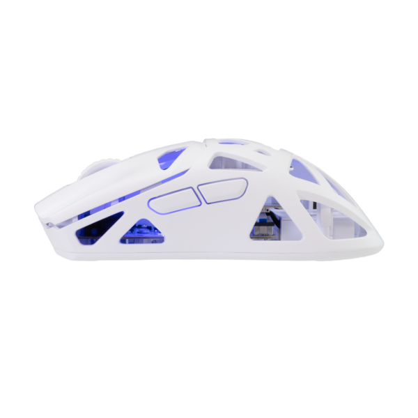 Dagonet white