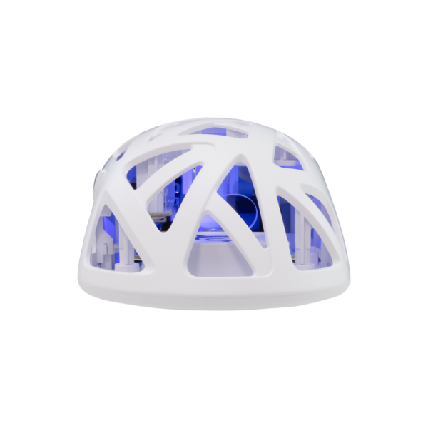 Dagonet white