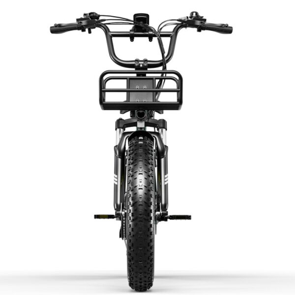 Eletronbike oc20 elektricni bicikl zeleni
