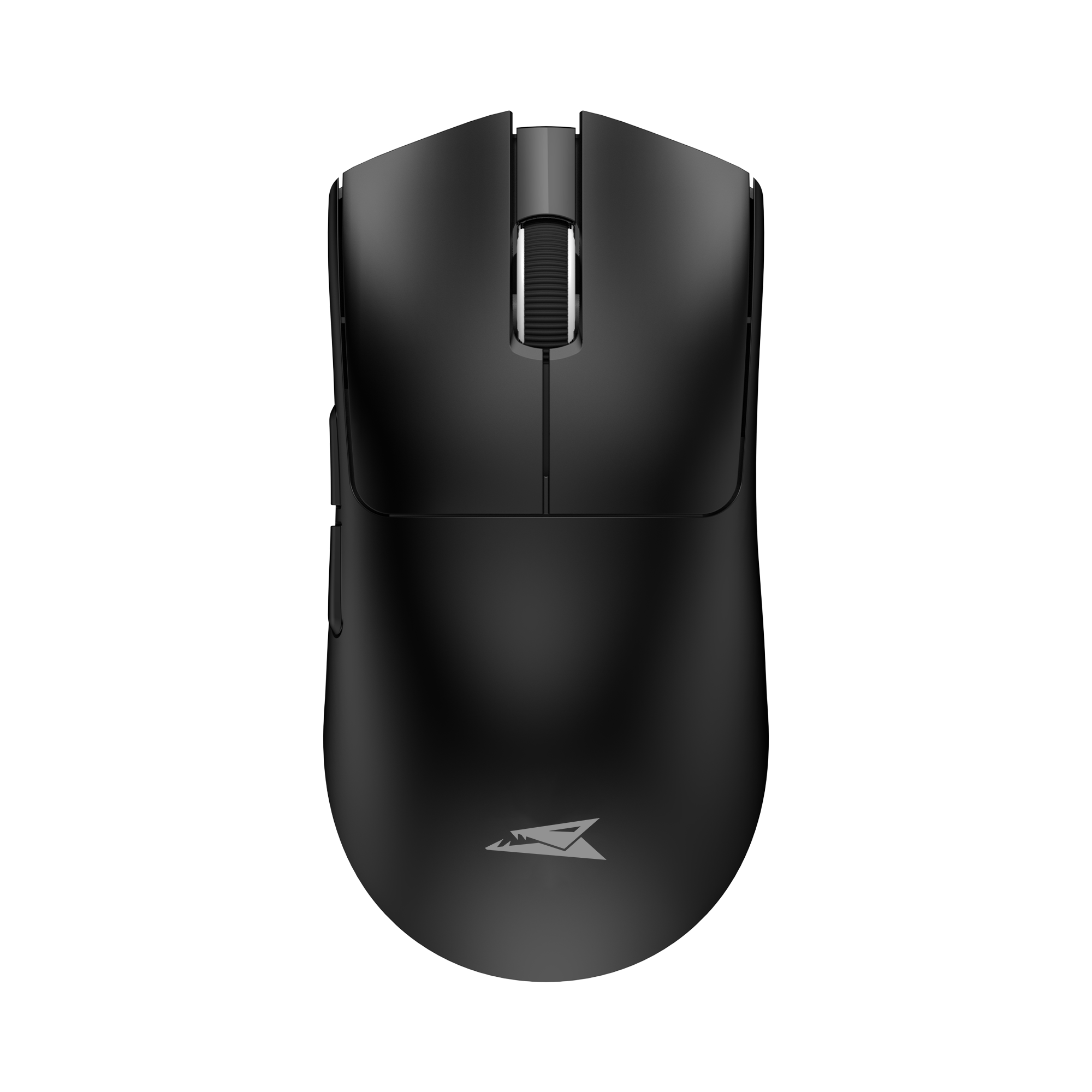 Moray black