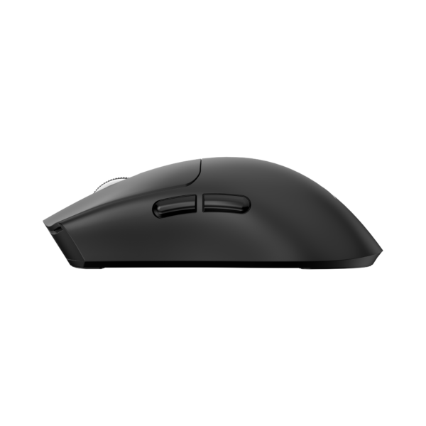 Moray black