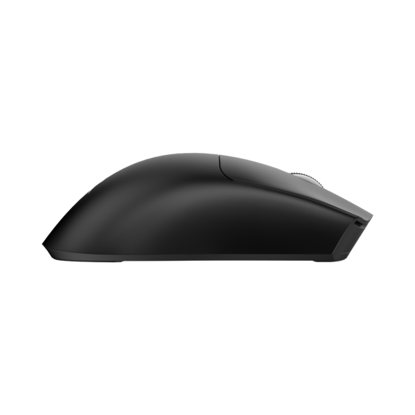 Moray black