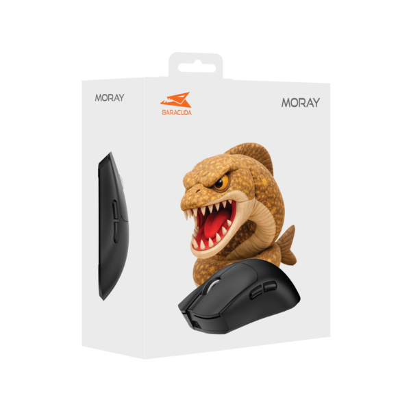 Moray black