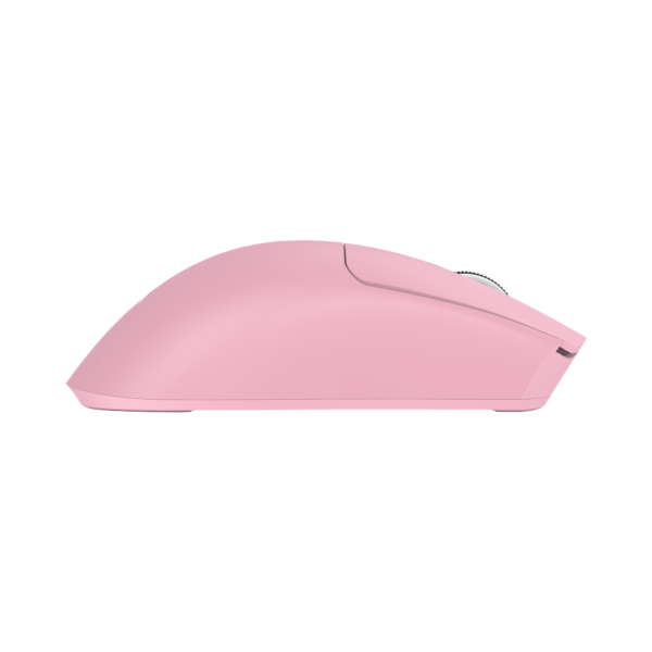 Moray pink