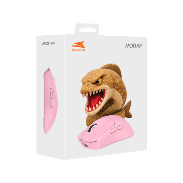 Moray pink