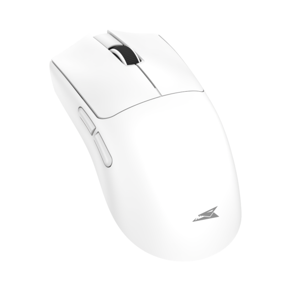 Moray white
