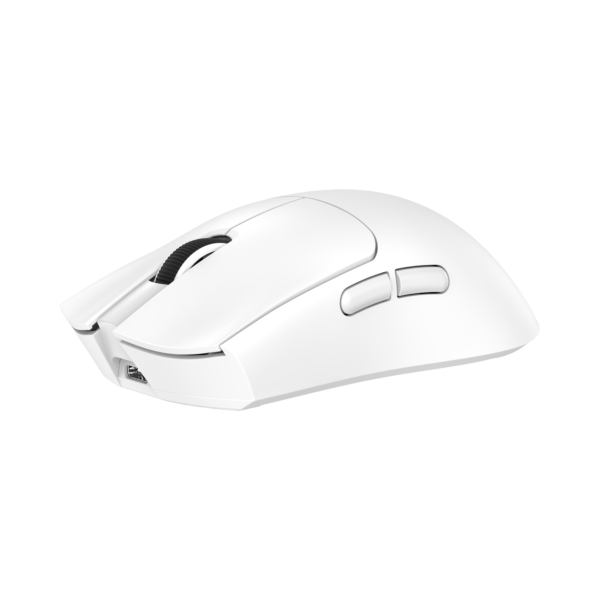 Moray white