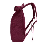 13731 3.png