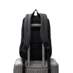 13755 7.png