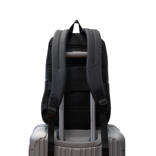 13755 7.png